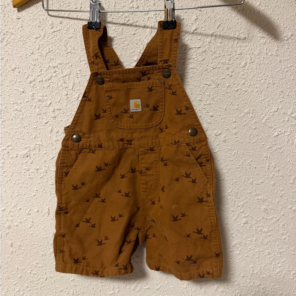 Carhartt Brown Birds Printed Kids Short Overalls